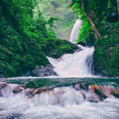 皇家帆船大赛破解版下载