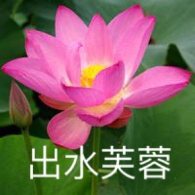 九游修真江湖2手游下载